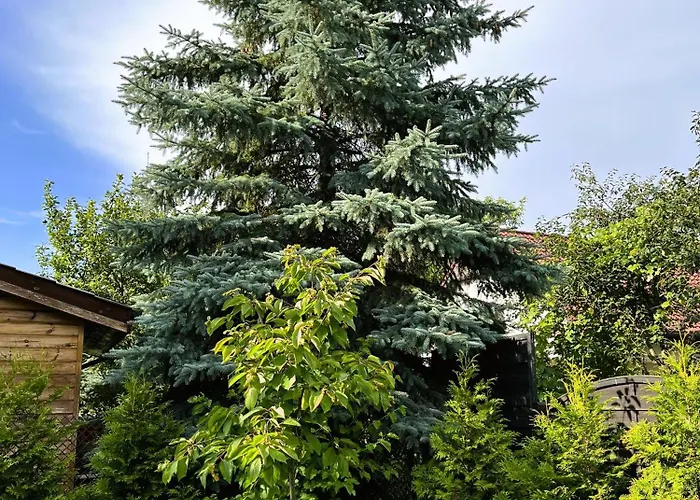 Πανσιόν Pod Czeresnia